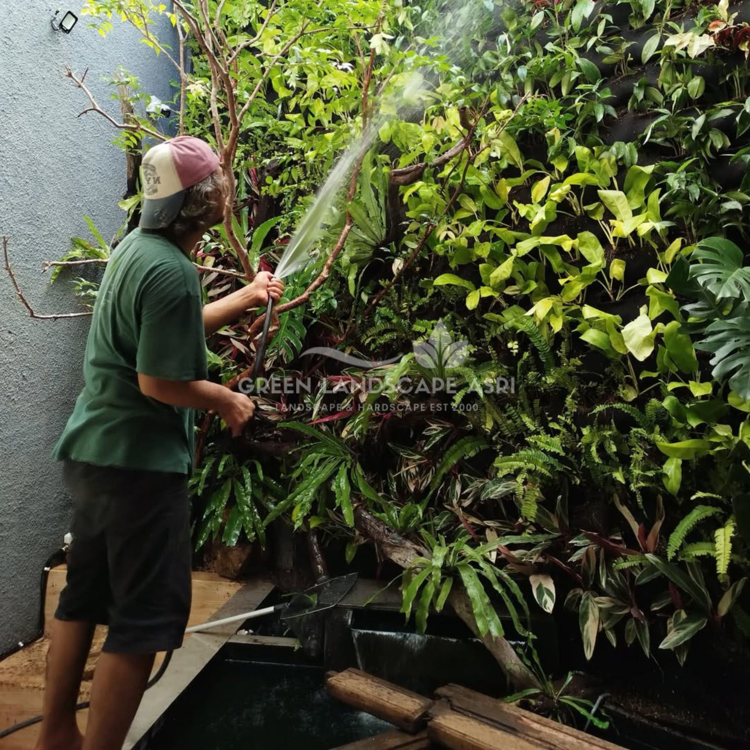 Jasa Pembuatan Vertical Garden