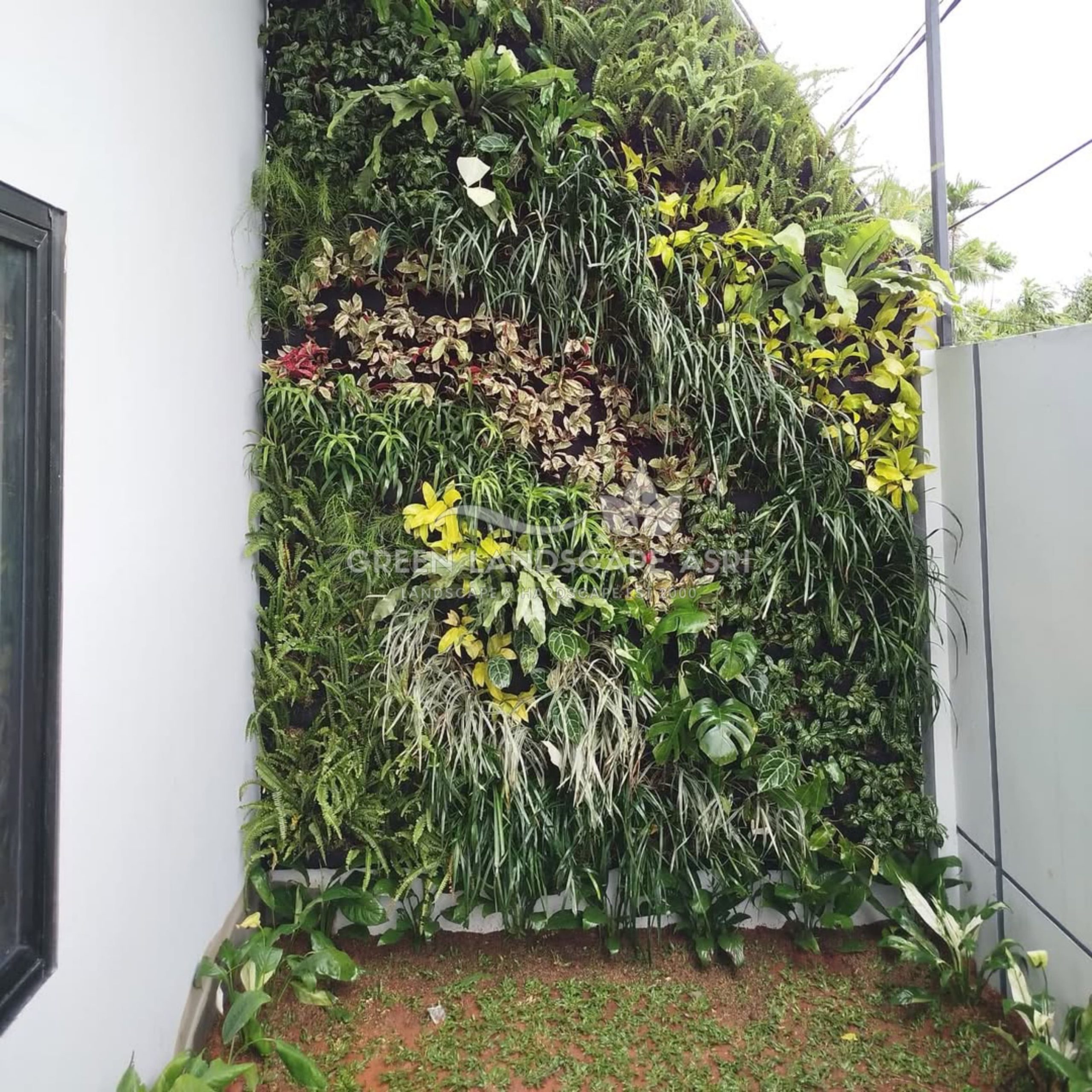 Jasa Pembuatan Vertical Garden