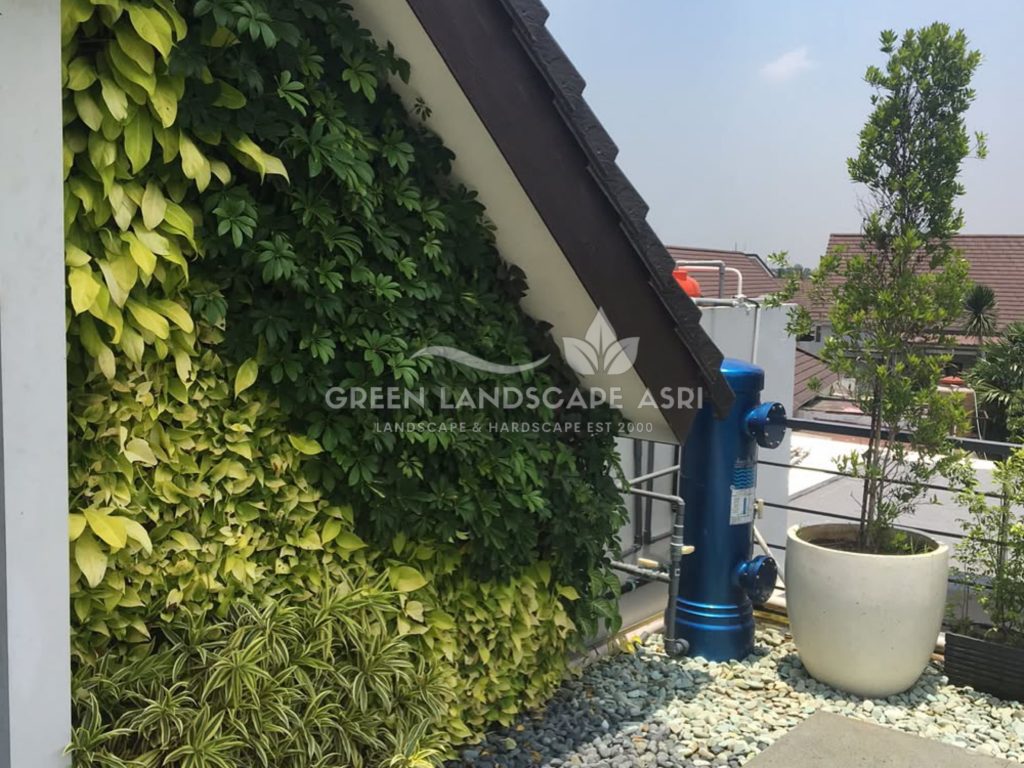 Jasa Pasang Taman Vertikal
