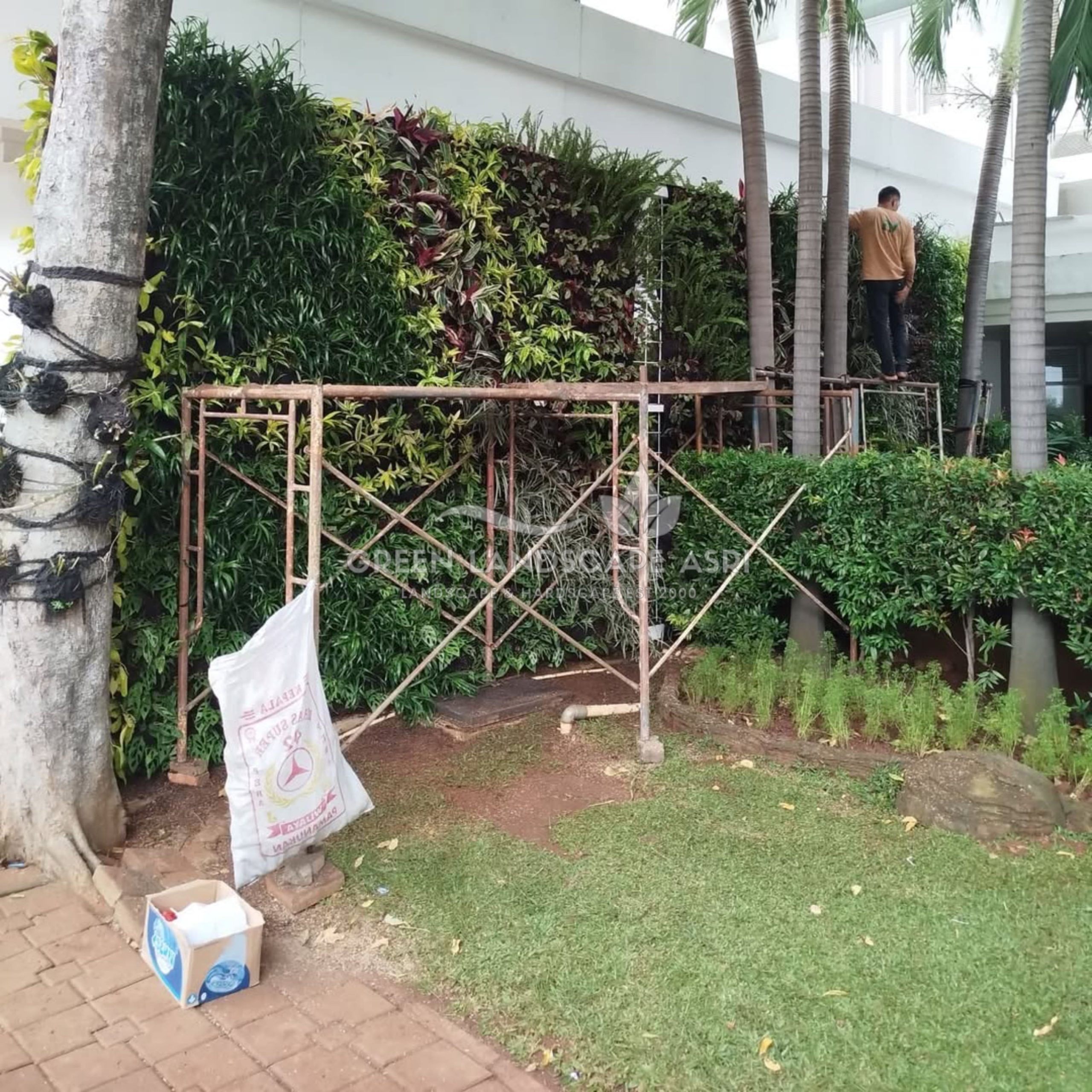 Jasa Pembuatan Vertical Garden