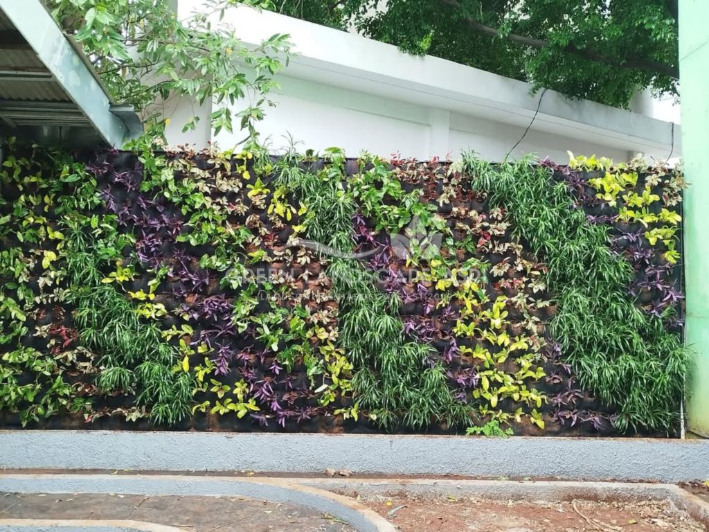 Jasa Pasang Taman Vertikal