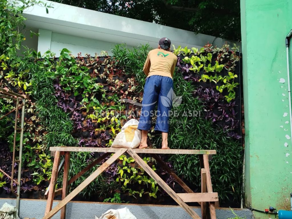Jasa Pasang Taman Vertikal