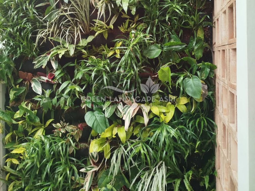 Jasa Pasang Taman Vertikal