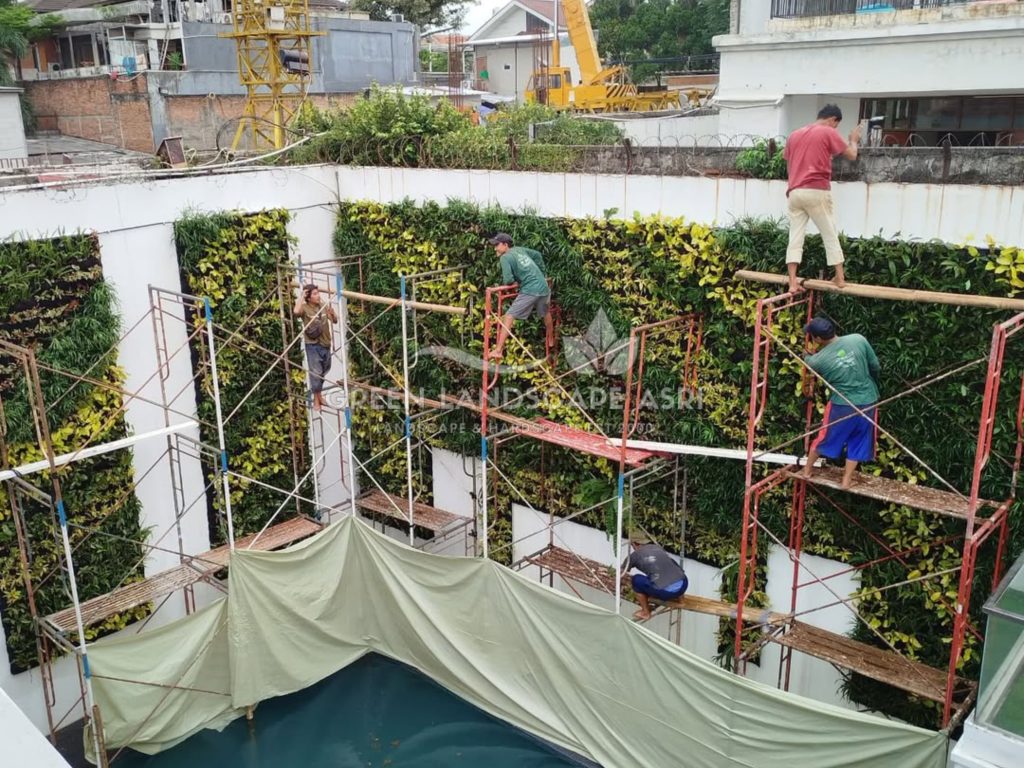 Jasa Pasang Taman Vertikal