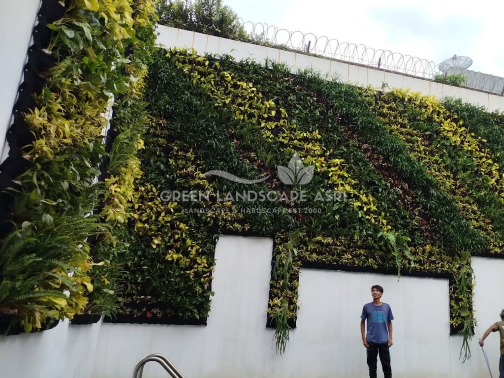 Jasa Pasang Taman Vertikal