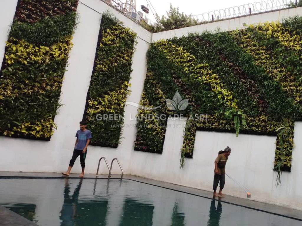 Jasa Pasang Taman Vertikal
