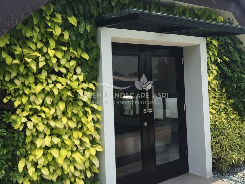 Jasa Pasang Taman Vertikal