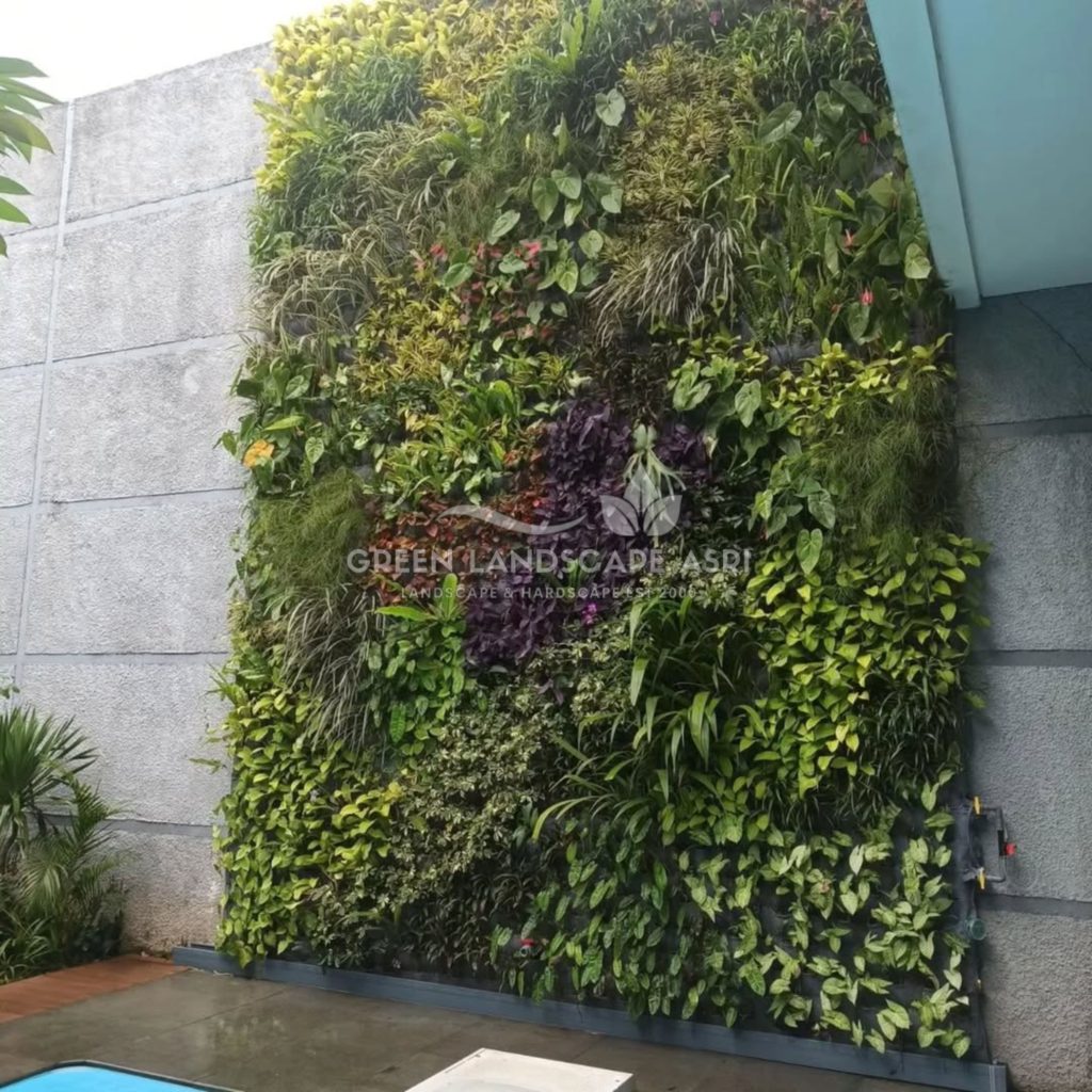 Jasa Pasang Taman Vertikal