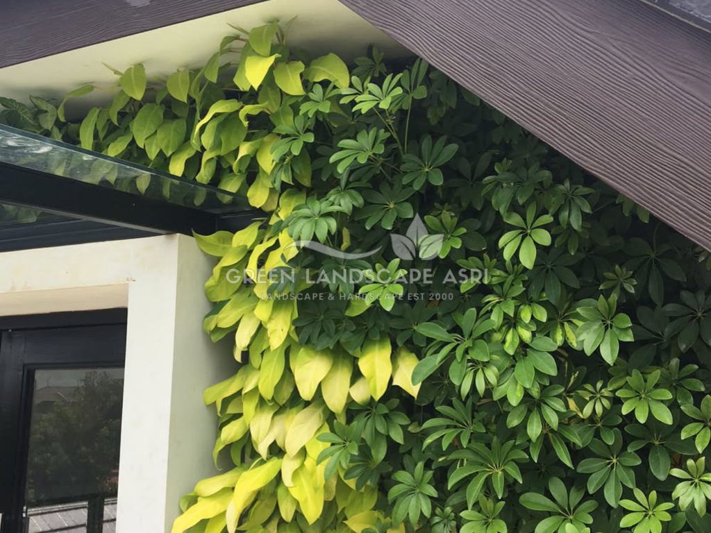 Jasa Pasang Taman Vertikal
