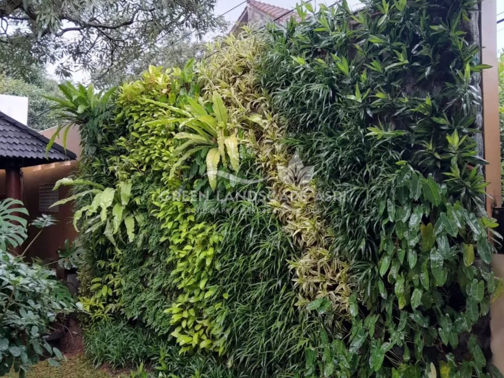 Jasa Pasang Taman Vertikal