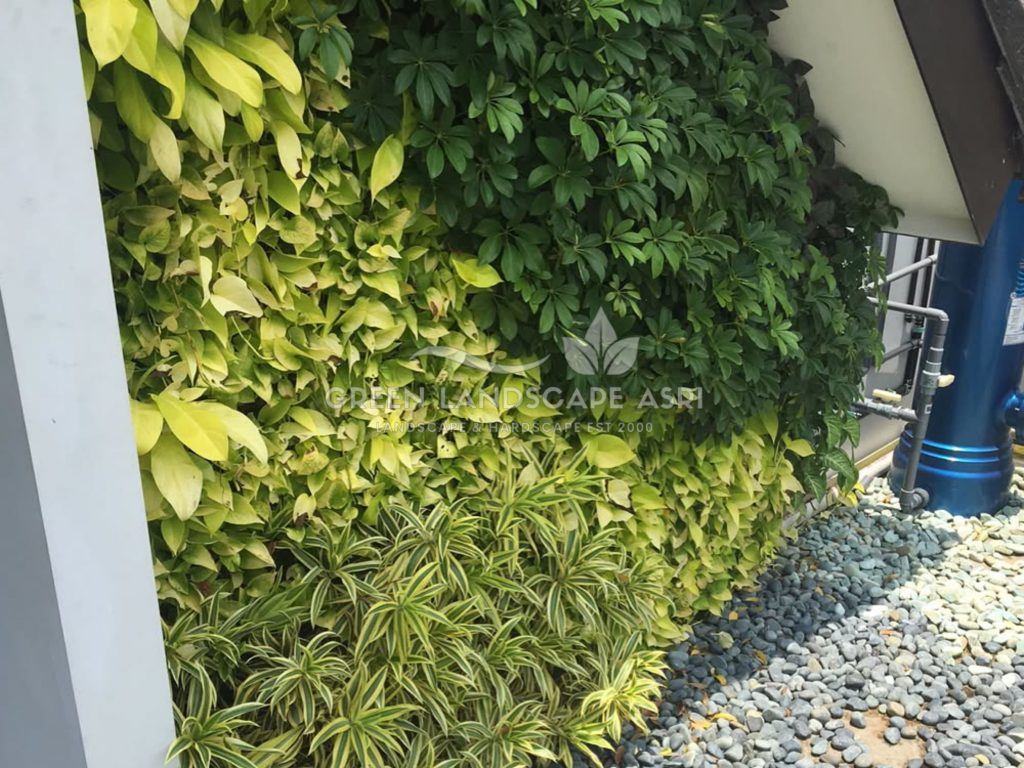 Jasa Pasang Taman Vertikal