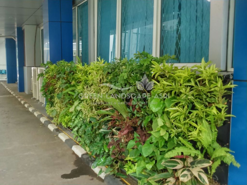 Jasa Pasang Taman Vertikal