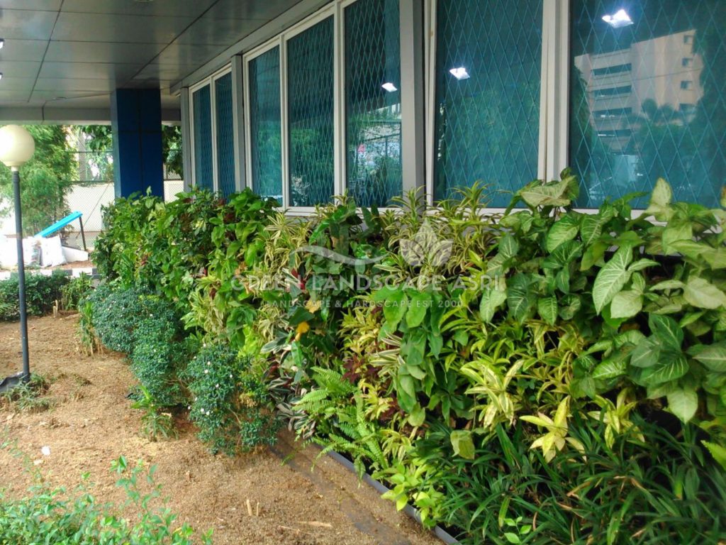 Jasa Pasang Taman Vertikal