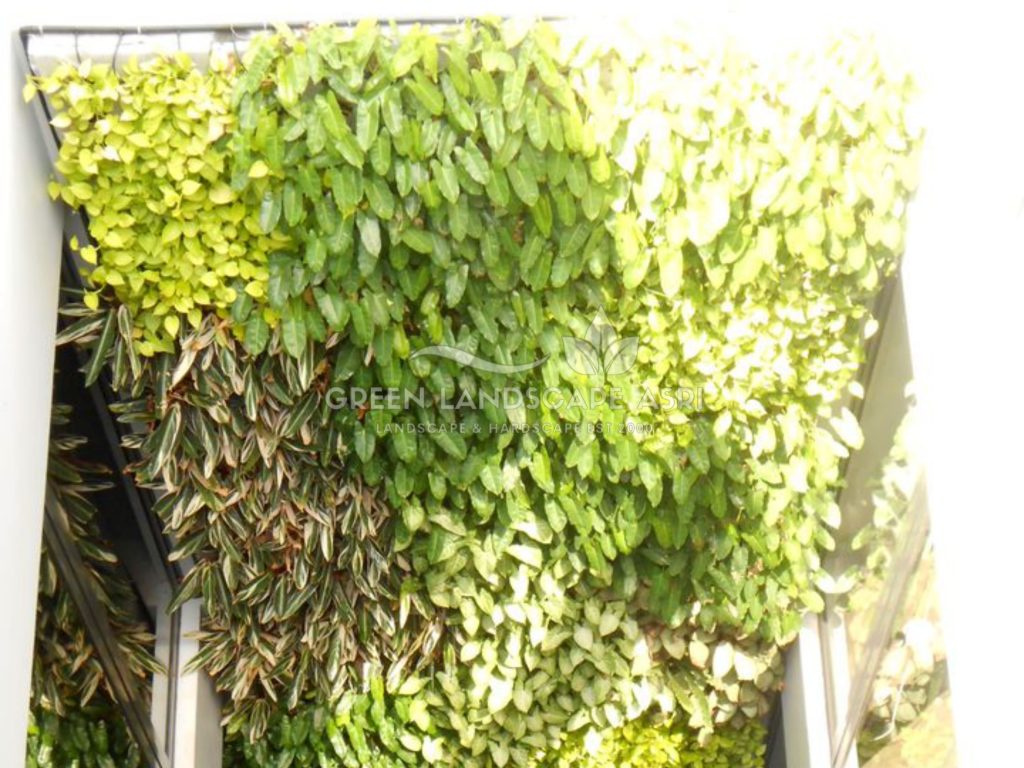 Jasa Pasang Taman Vertikal