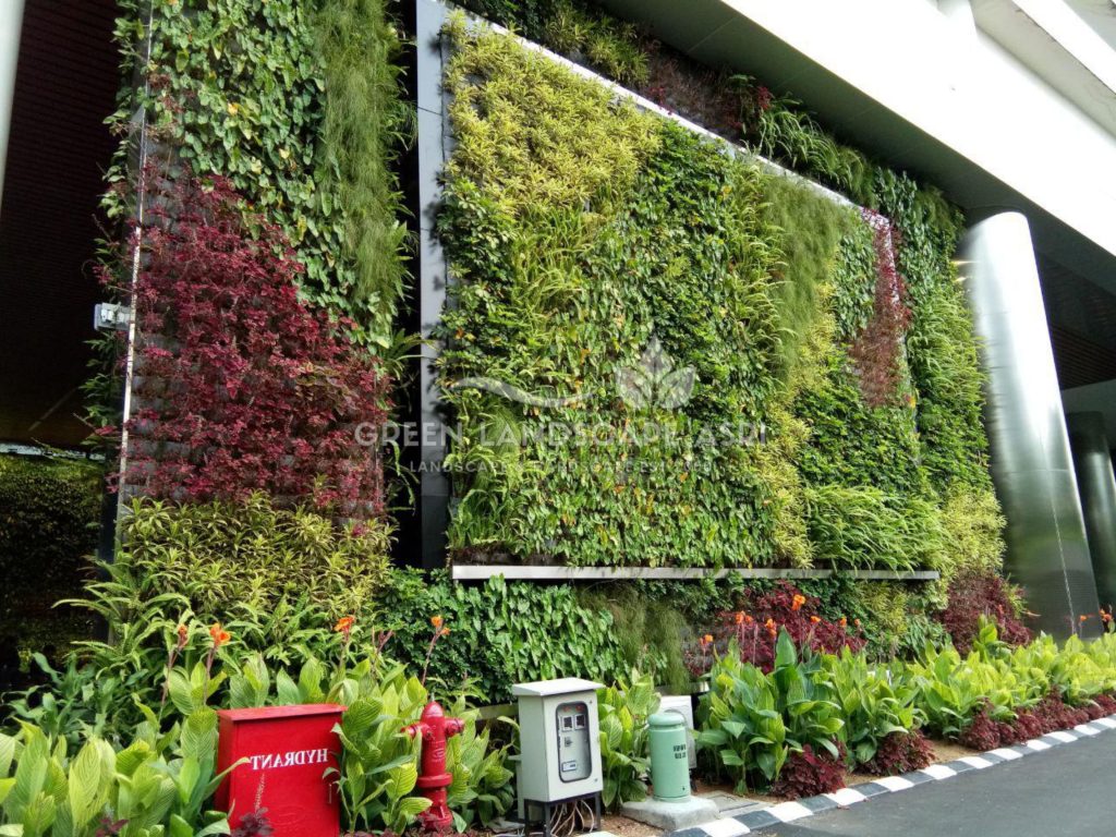 Jasa Pasang Taman Vertikal