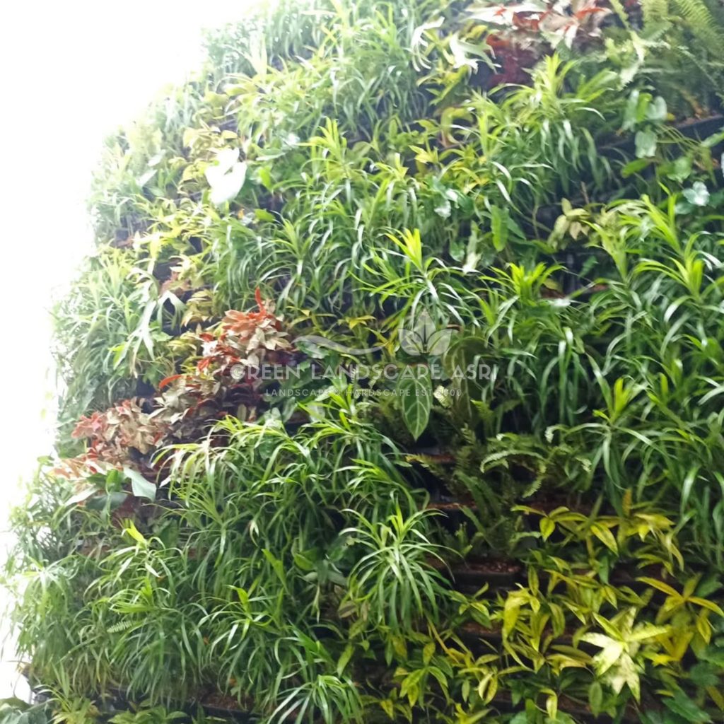 Jasa Pembuatan Vertical Garden