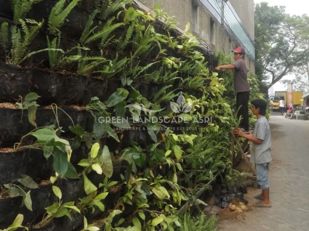 Jasa Pasang Taman Vertikal
