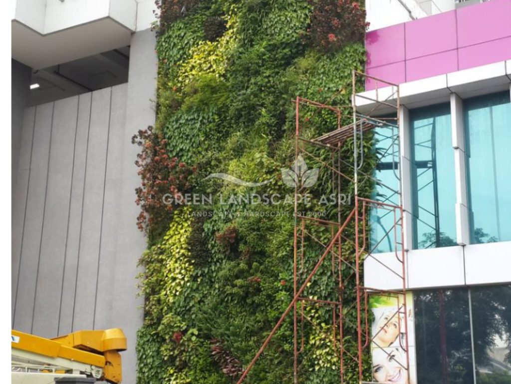 Jasa Pemasangan Vertical Garden