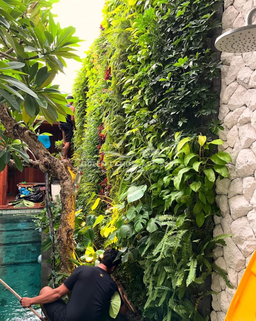 Jasa Pasang Taman Vertikal