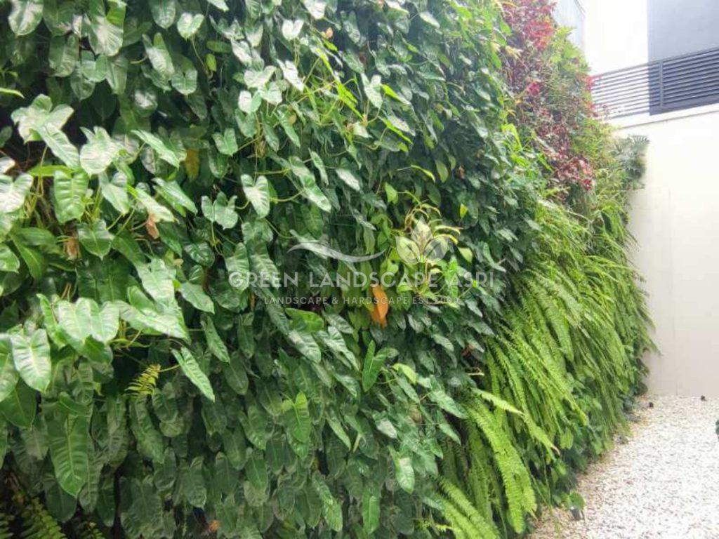 Jasa Pemasangan Vertical Garden