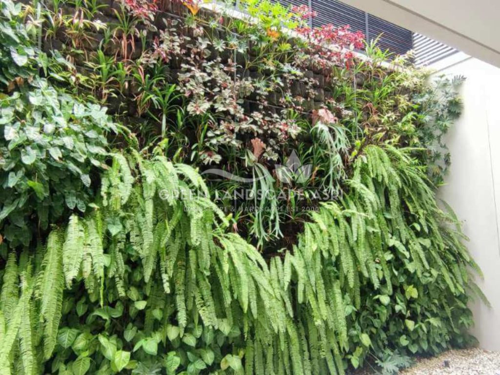 Jasa Pemasangan Vertical Garden