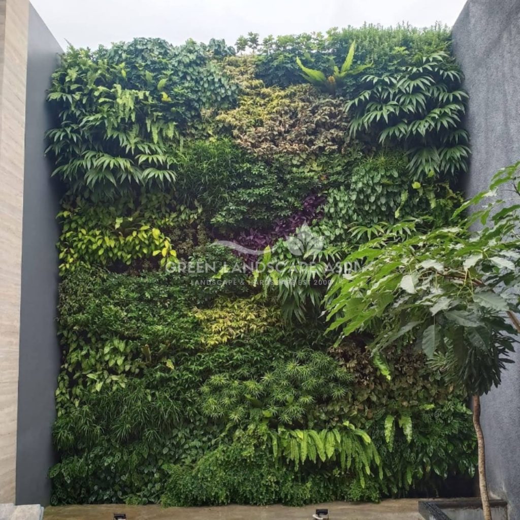 Jasa Pemasangan Vertical Garden
