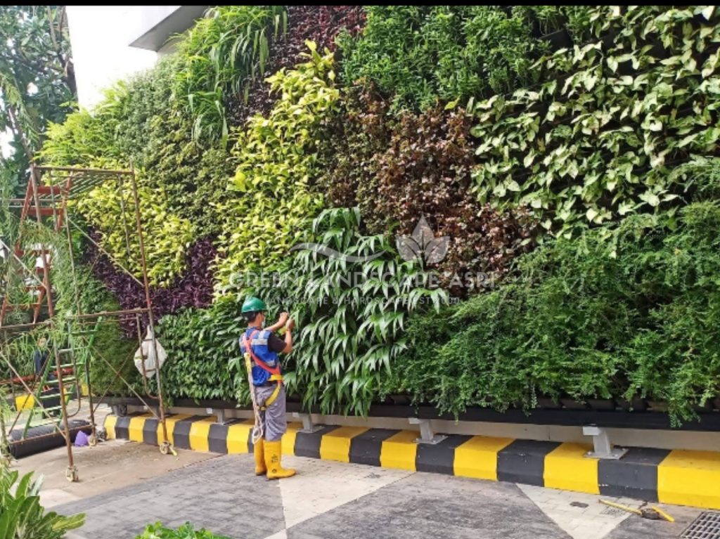 Jasa Vertical Garden Tanaman Asli