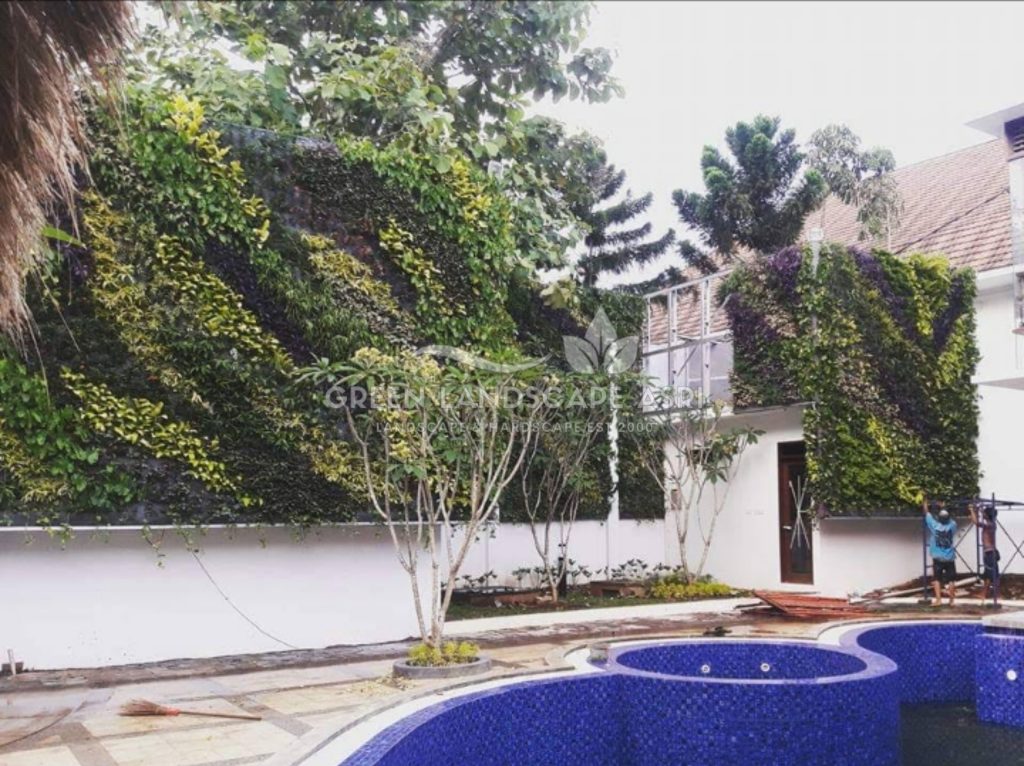 Jasa Vertical Garden Tanaman Asli