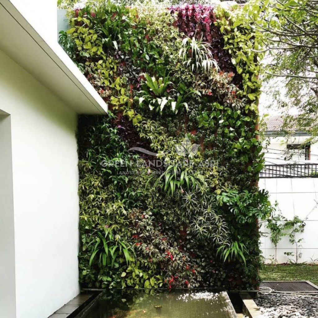 Jasa Vertical Garden Tanaman Asli