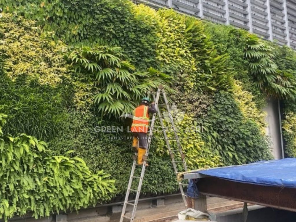 Jasa Vertical Garden Tanaman Asli