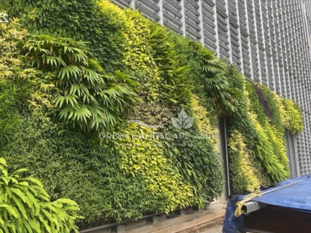 Jasa Vertical Garden Tanaman Asli