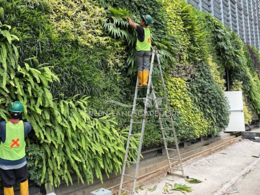 Jasa Vertical Garden Tanaman Asli