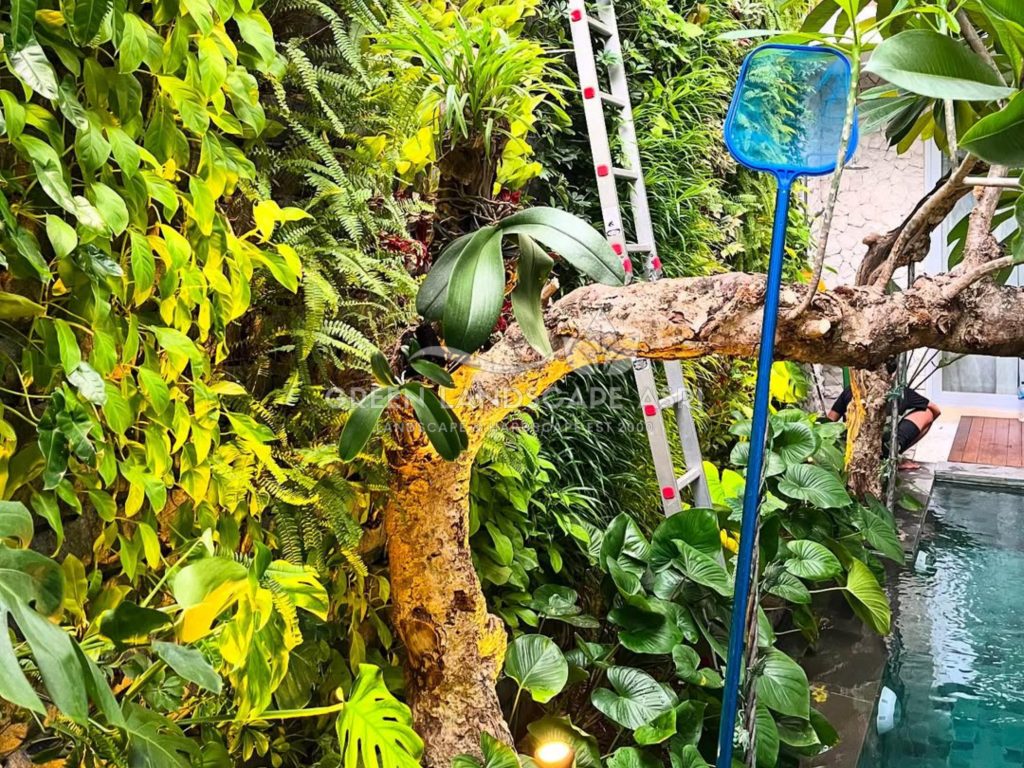 Jasa Pasang Taman Vertikal