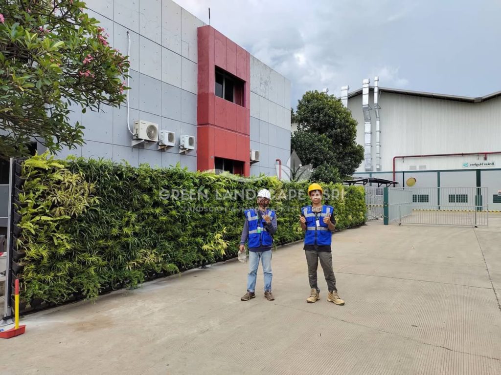 Jasa Vertical Garden Tanaman Asli