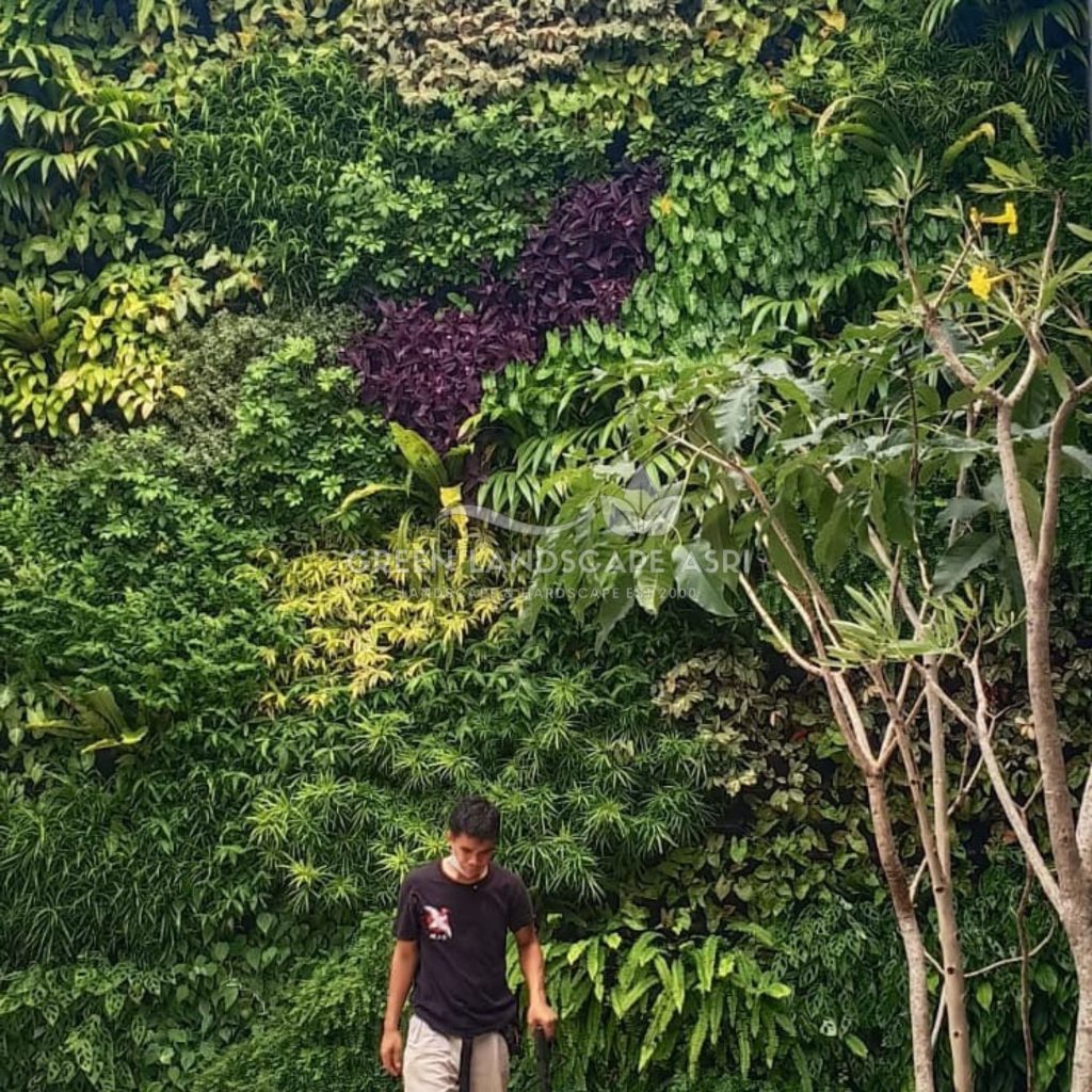 Jasa Vertical Garden Tanaman Asli