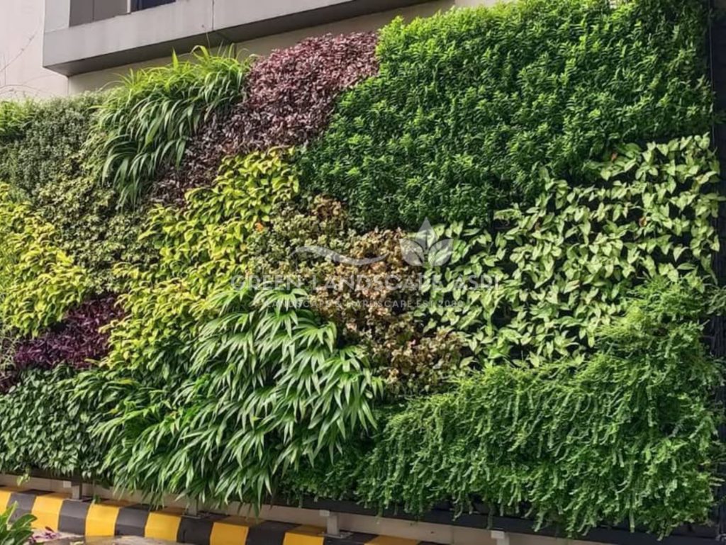 Jasa Vertical Garden Tanaman Asli