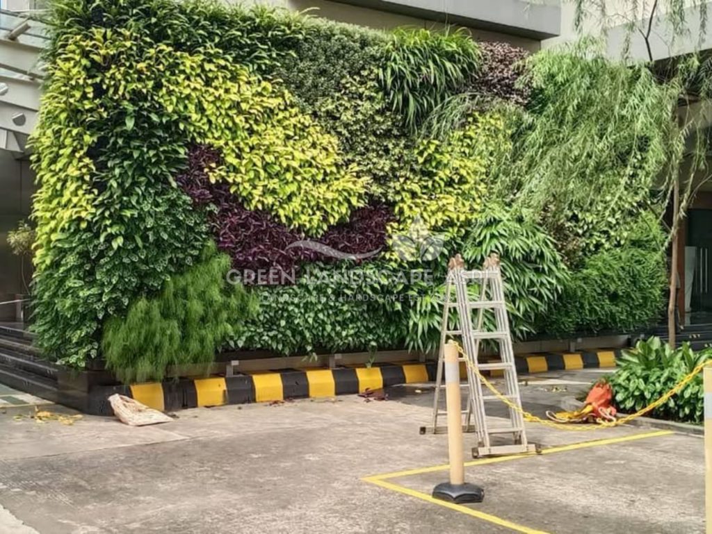Jasa Vertical Garden Tanaman Asli