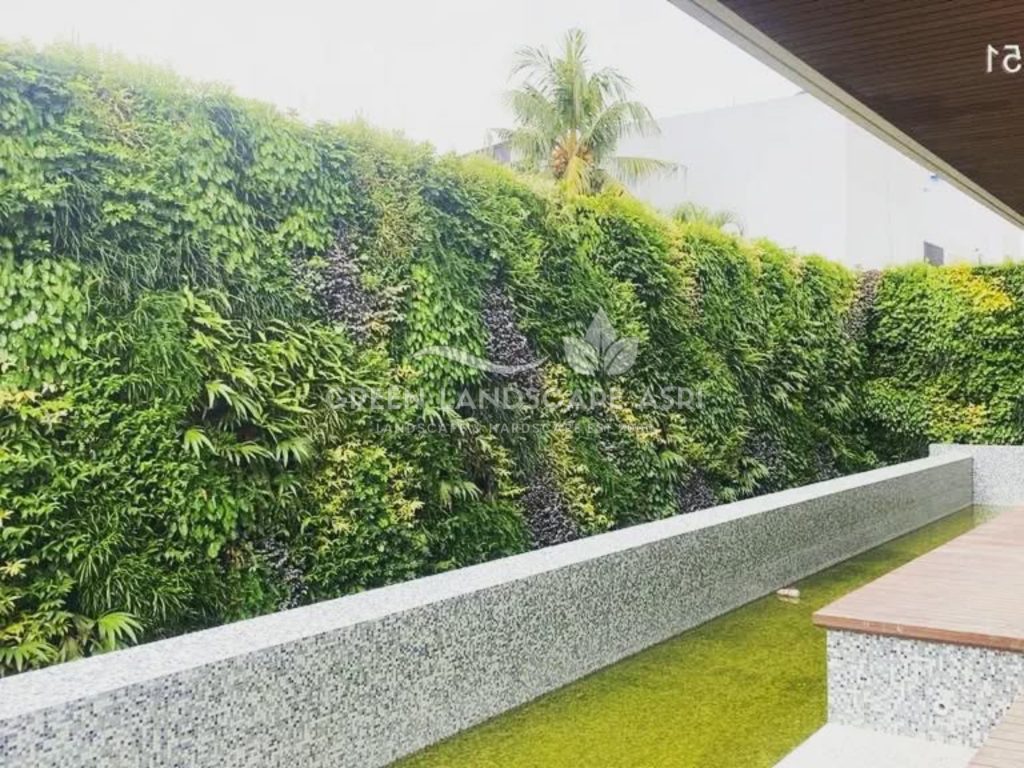 Jasa Vertical Garden Tanaman Asli