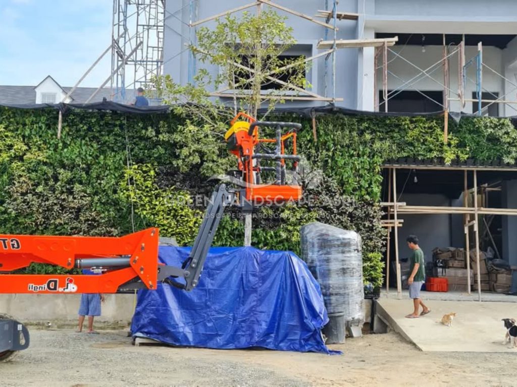 Jasa Vertical Garden Tanaman Asli