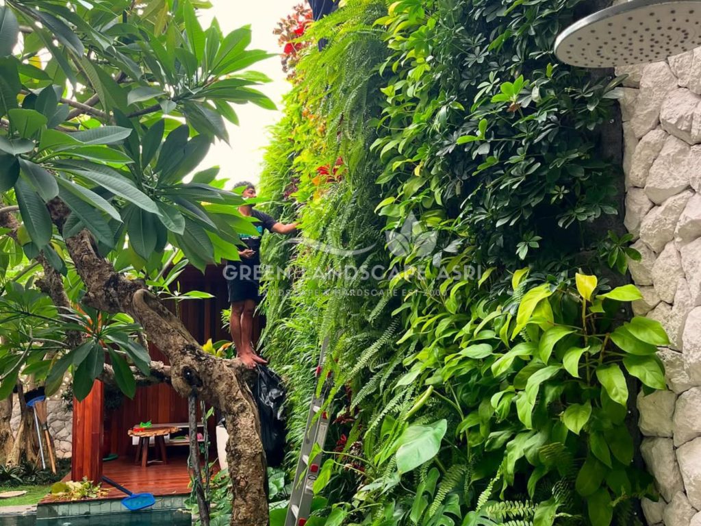 Jasa Pasang Taman Vertikal
