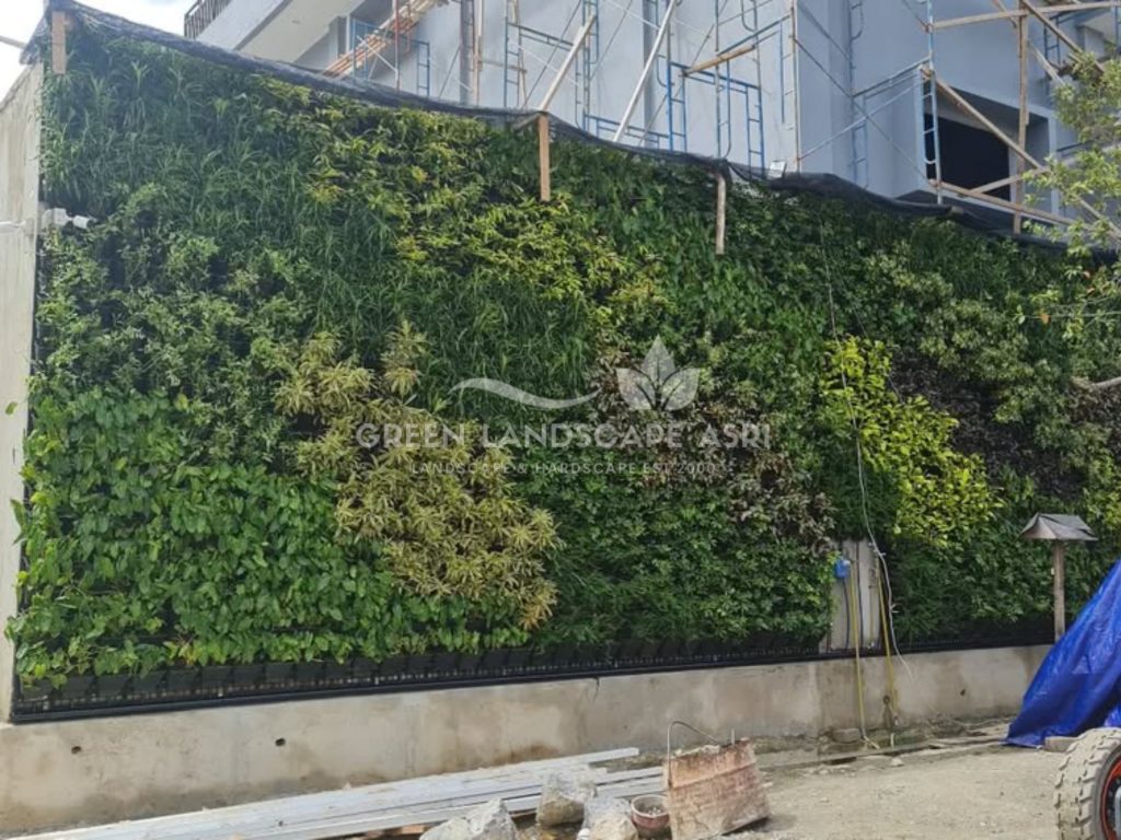 Jasa Vertical Garden Tanaman Asli
