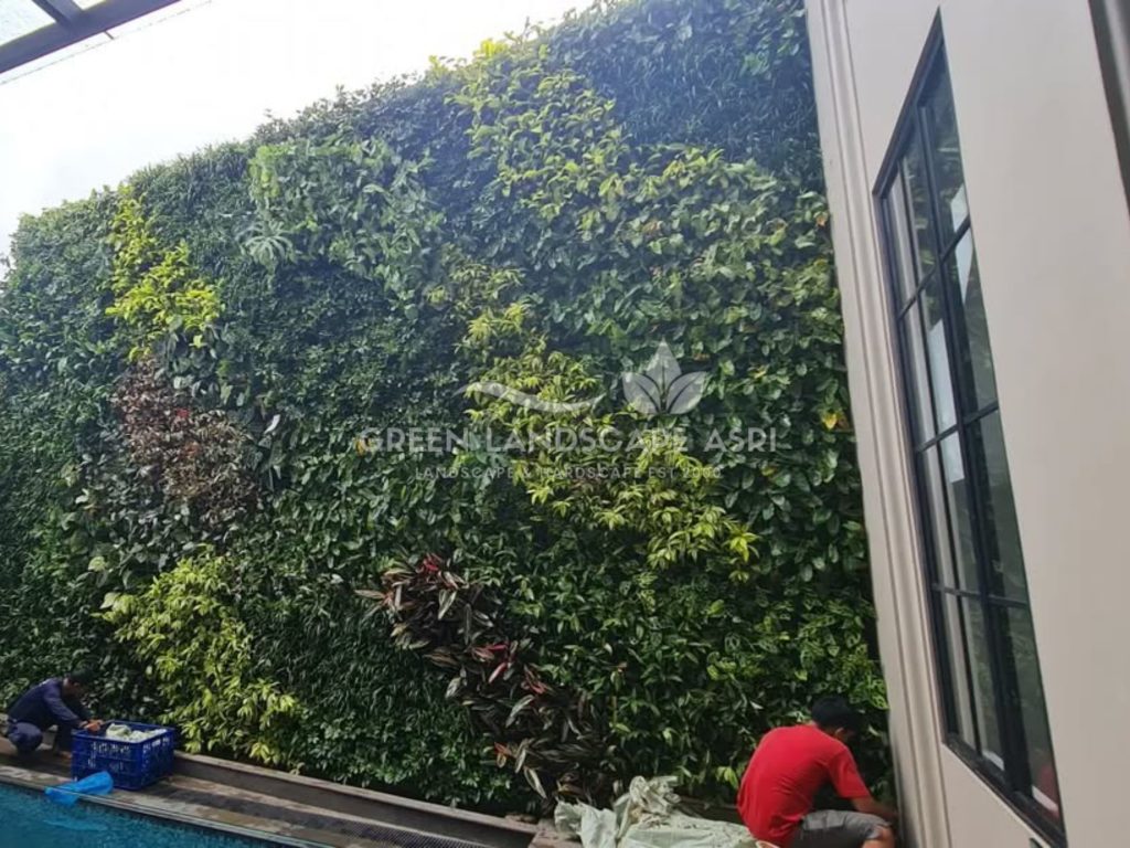 Jasa Vertical Garden Tanaman Asli