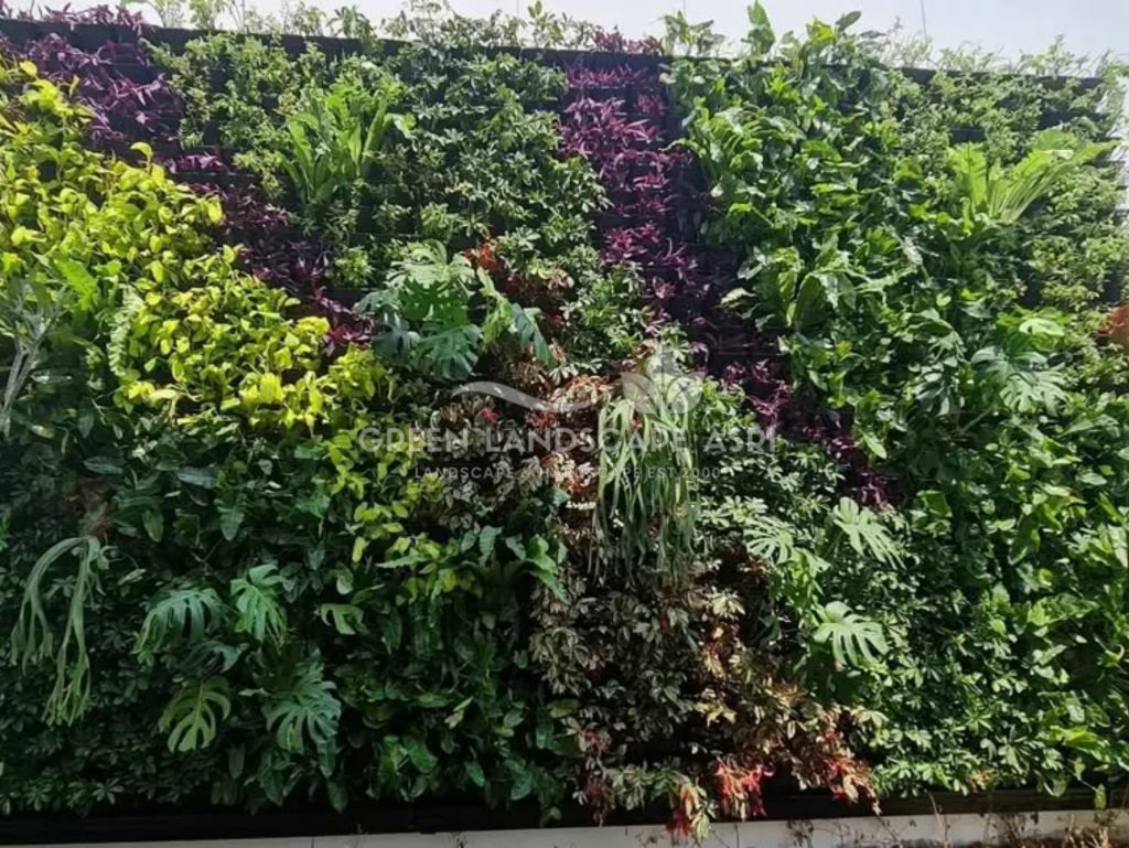 Jasa Vertical Garden Tanaman Asli