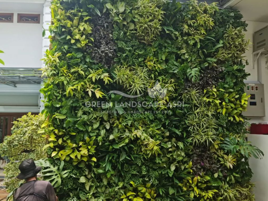 Jasa Vertical Garden Tanaman Asli