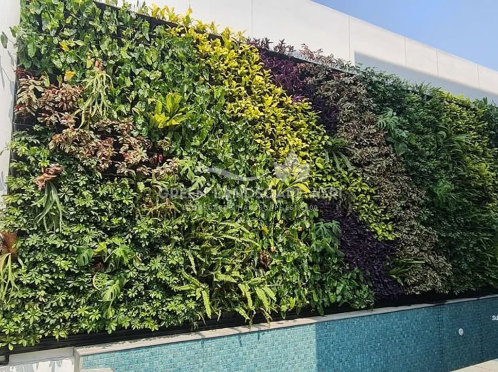 Jasa Vertical Garden Tanaman Asli