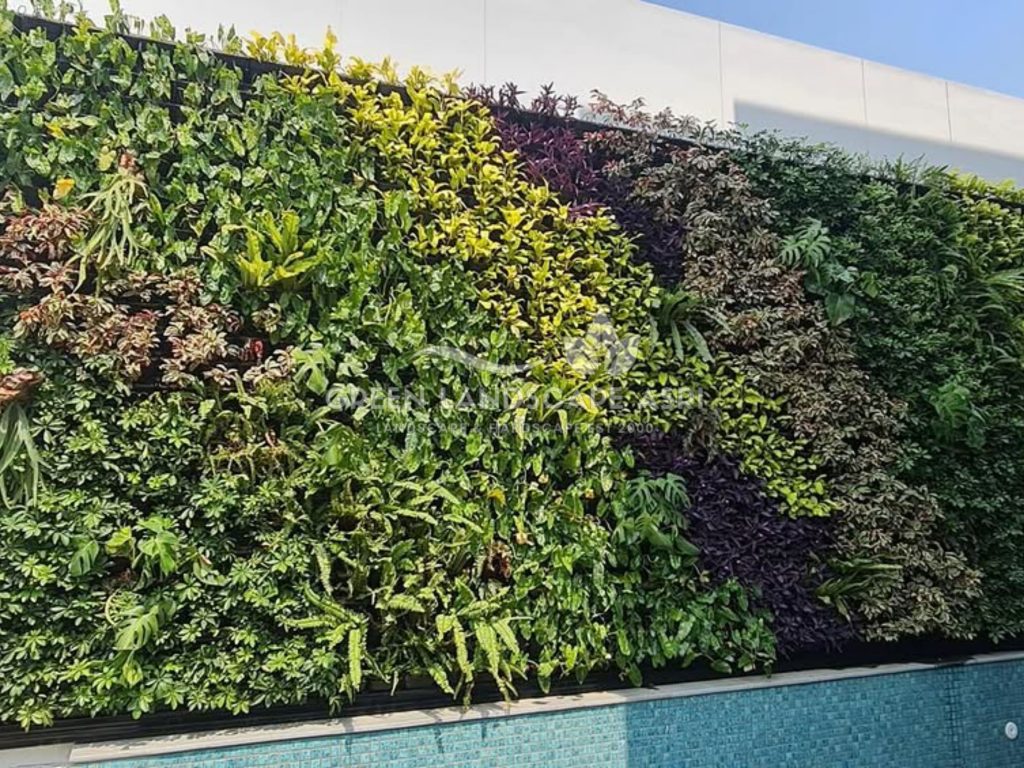 Jasa Vertical Garden Tanaman Asli