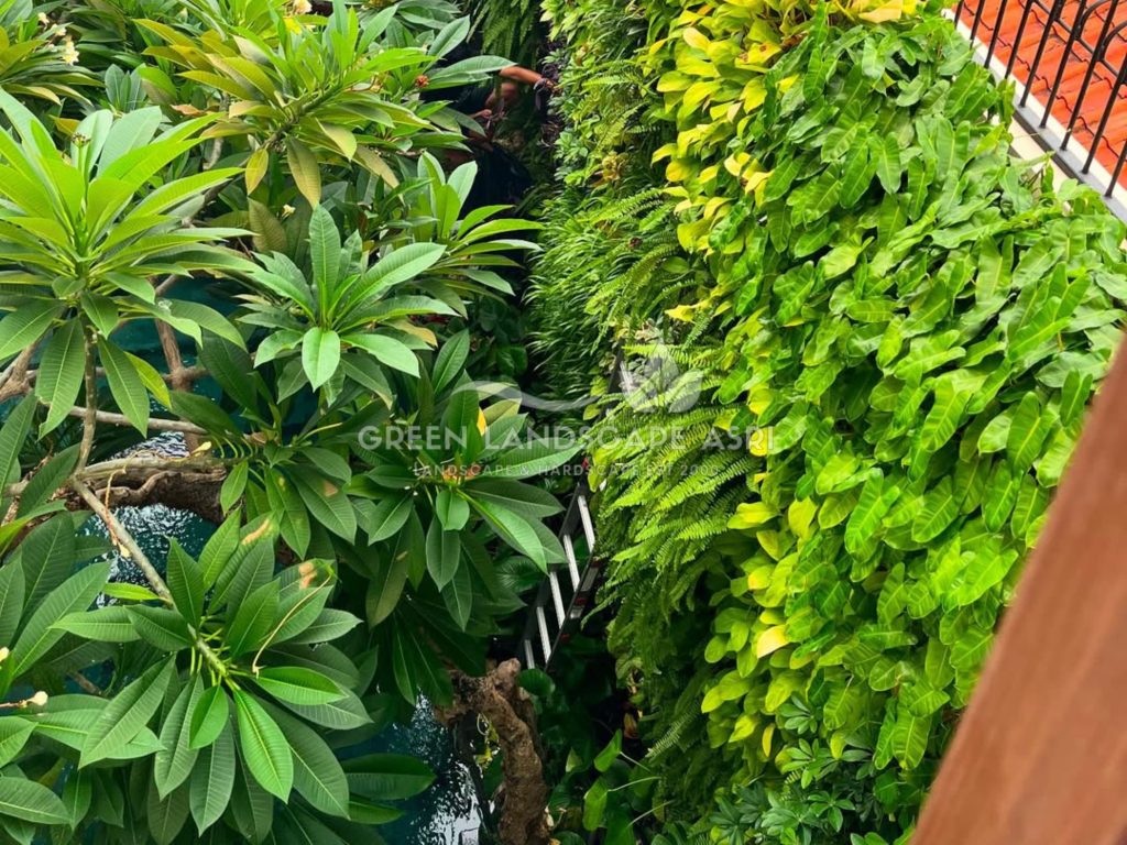 Jasa Pasang Taman Vertikal