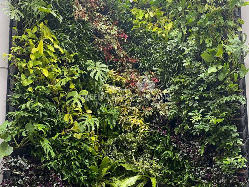 Jasa Vertical Garden Tanaman Asli