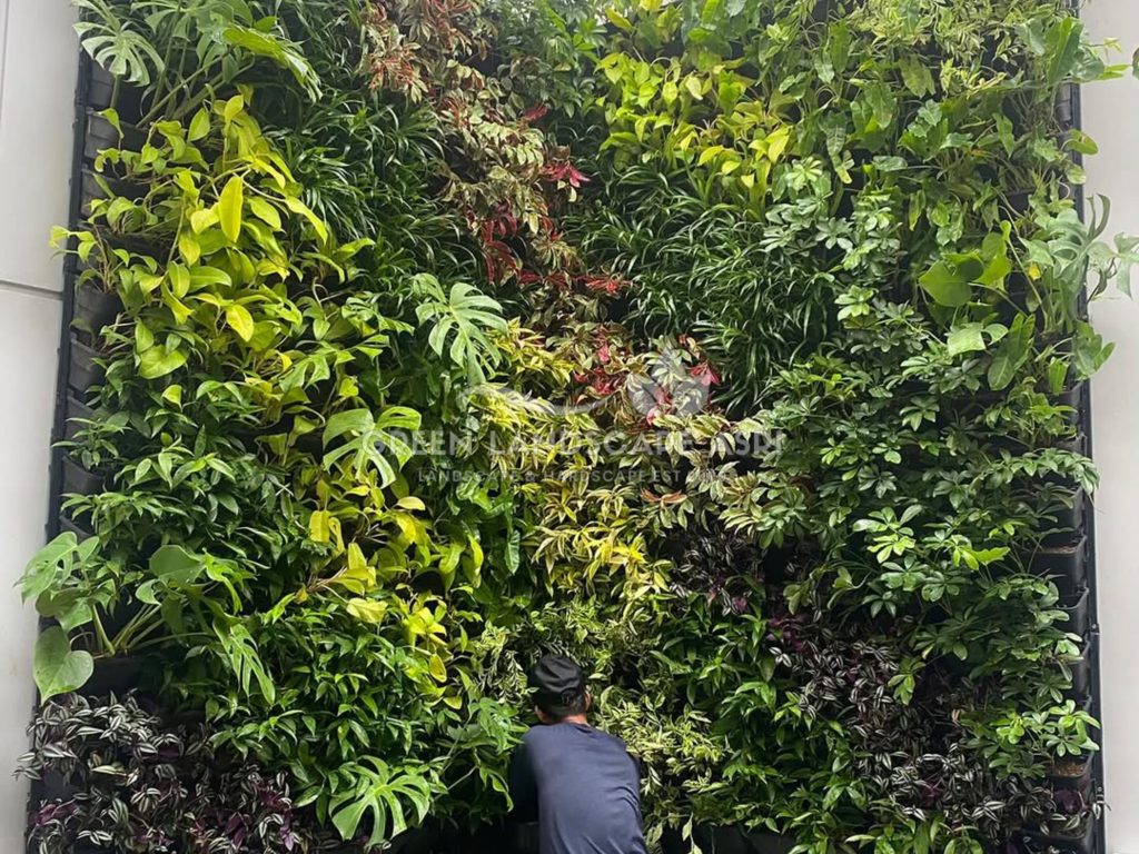 Jasa Vertical Garden Tanaman Asli