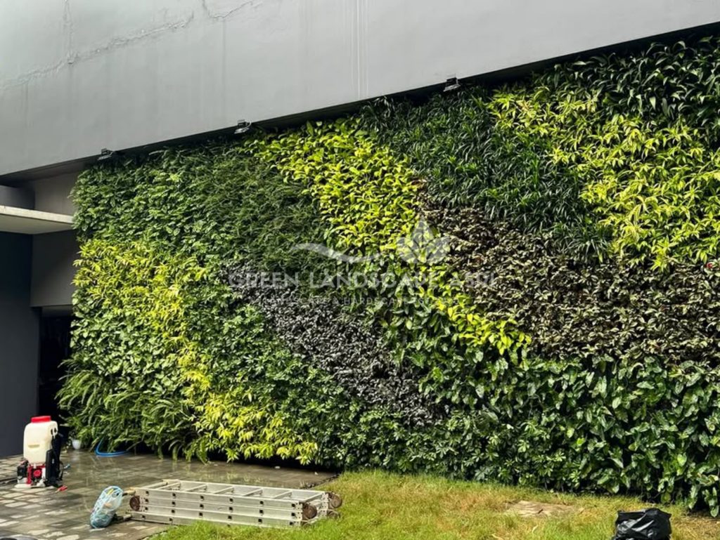 Jasa Vertical Garden Tanaman Asli